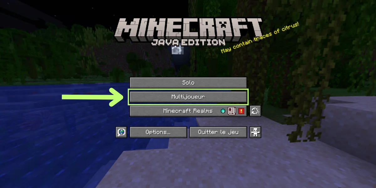 Clique sur Multijoueur